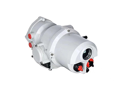 RIQ series partial rotary electric actuator